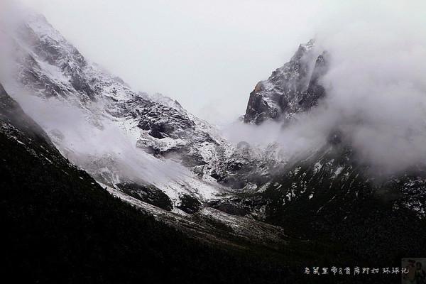 丛林森林逃生